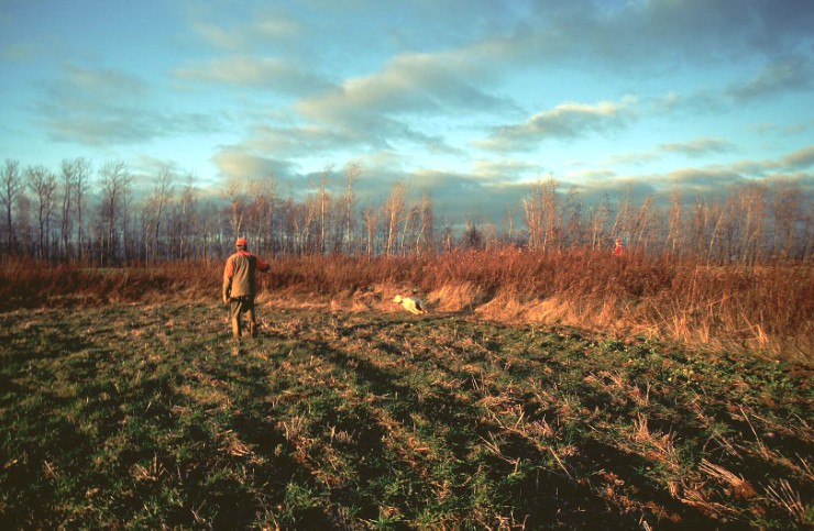 Copy Don Craig Hedgerow Roo Full Blast.jpg